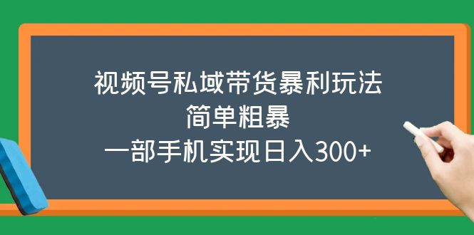 （5544期）视频号私域带货暴利玩法，简单粗暴，一部手机实现日入300+-iTZL项目网