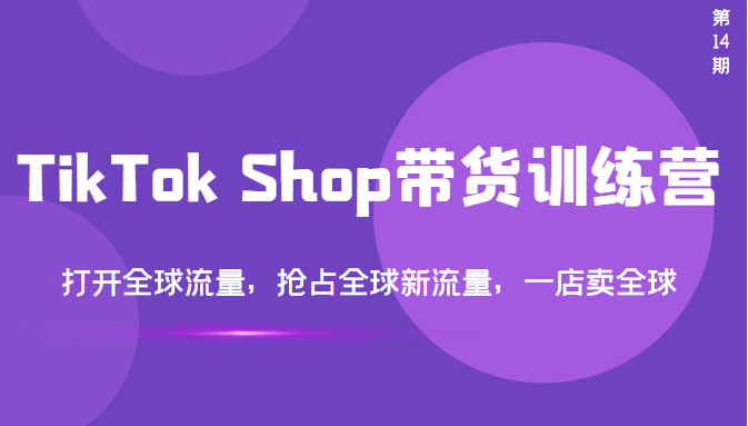 （3342期）TikTok Shop带货训练营，打开全球流量，抢占全球新流量 一店卖全球(第14期)-iTZL项目网