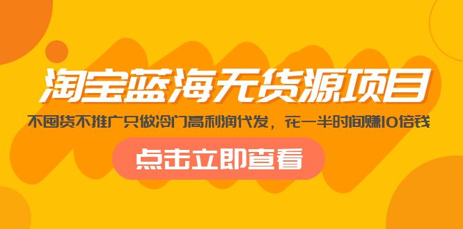 （5062期）淘宝蓝海无货源项目，不囤货不推广只做冷门高利润代发，花一半时间赚10倍钱-iTZL项目网