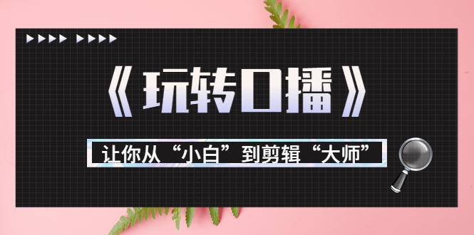 （3571期）月营业额700万+大佬教您《玩转口播》让你从“小白”到剪辑“大师”-iTZL项目网