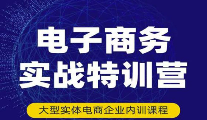 （3101期）电子商务实战特训营，全方位带你入门电商，308种方式玩转电商-iTZL项目网