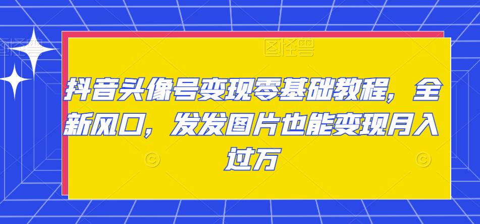 抖音头像号变现零基础教程，全新风口，发发图片也能变现月入过万-iTZL项目网