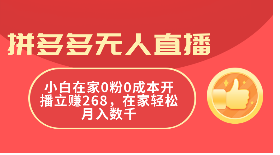 （11521期）拼多多无人直播，小白在家0粉0成本开播立赚268，在家轻松月入数千-iTZL项目网