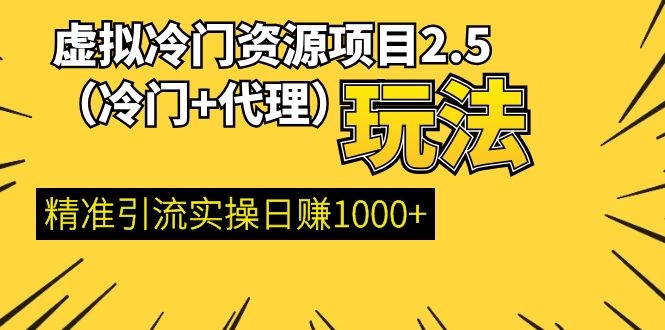 （1185期）虚拟冷门资源项目2.5（冷门&代理玩法） 精准引流实操日赚1000+(更新中)-iTZL项目网