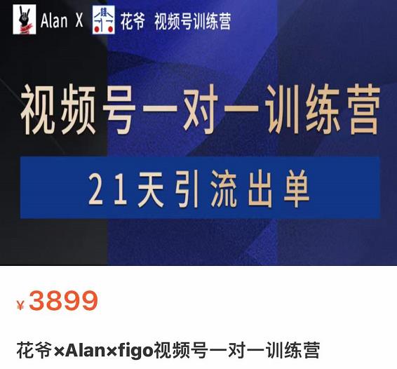 花爷×Alan×figo视频号训练营，带货，涨粉，直播，游戏，四大变现新方向，21天引流出单-iTZL项目网