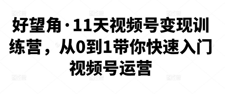 好望角·11天视频号变现训练营，从0到1带你快速入门视频号运营-iTZL项目网