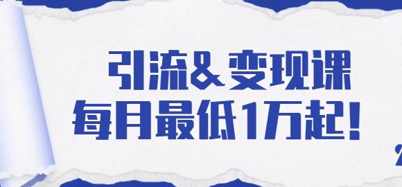 引流变现课：分享一整套流量方法以及各个渠道收入，每月最低1万起！-iTZL项目网