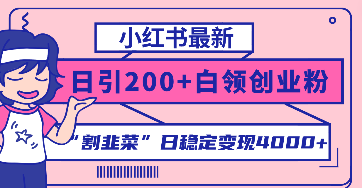 （8052期）小红书最新日引200+创业粉”割韭菜“日稳定变现4000+实操教程！-iTZL项目网