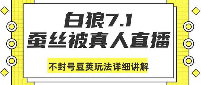 白狼敢死队7月1号最新抖音课程：蚕丝被真人直播不封号豆荚（dou+）玩法详细讲解-iTZL项目网