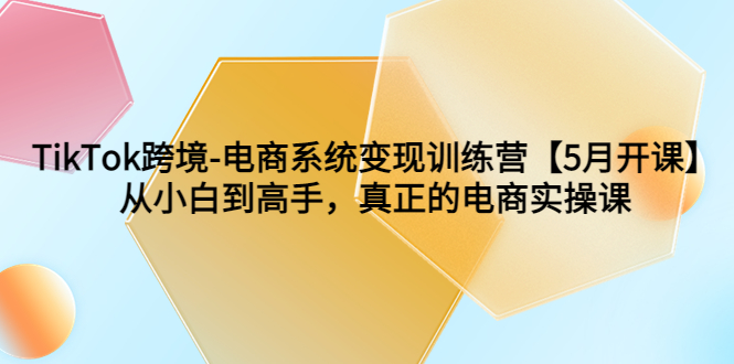 （6058期）TikTok跨境-电商系统变现训练营【5月新课】从小白到高手，真正的电商实操课-iTZL项目网