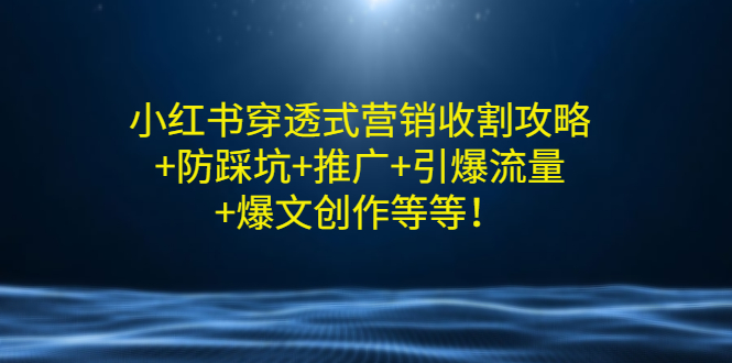 （2907期）小红书穿透式营销收割攻略+防踩坑+推广+引爆流量+爆文创作等等！-iTZL项目网