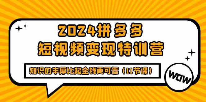 （9817期）2024拼多多短视频变现特训营，知识的丰厚比起金钱更可靠（11节课）-iTZL项目网