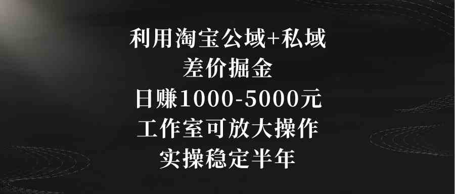 （8952期）利用淘宝公域+私域差价掘金，日赚1000-5000元，工作室可放大操作，实操…-iTZL项目网