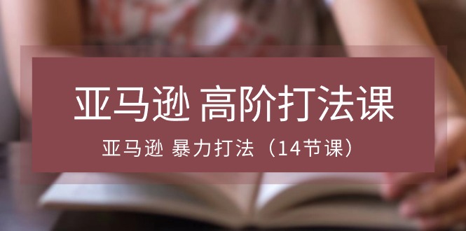 （10870期）亚马逊 高阶打法课，亚马逊 暴力打法（14节课）-iTZL项目网