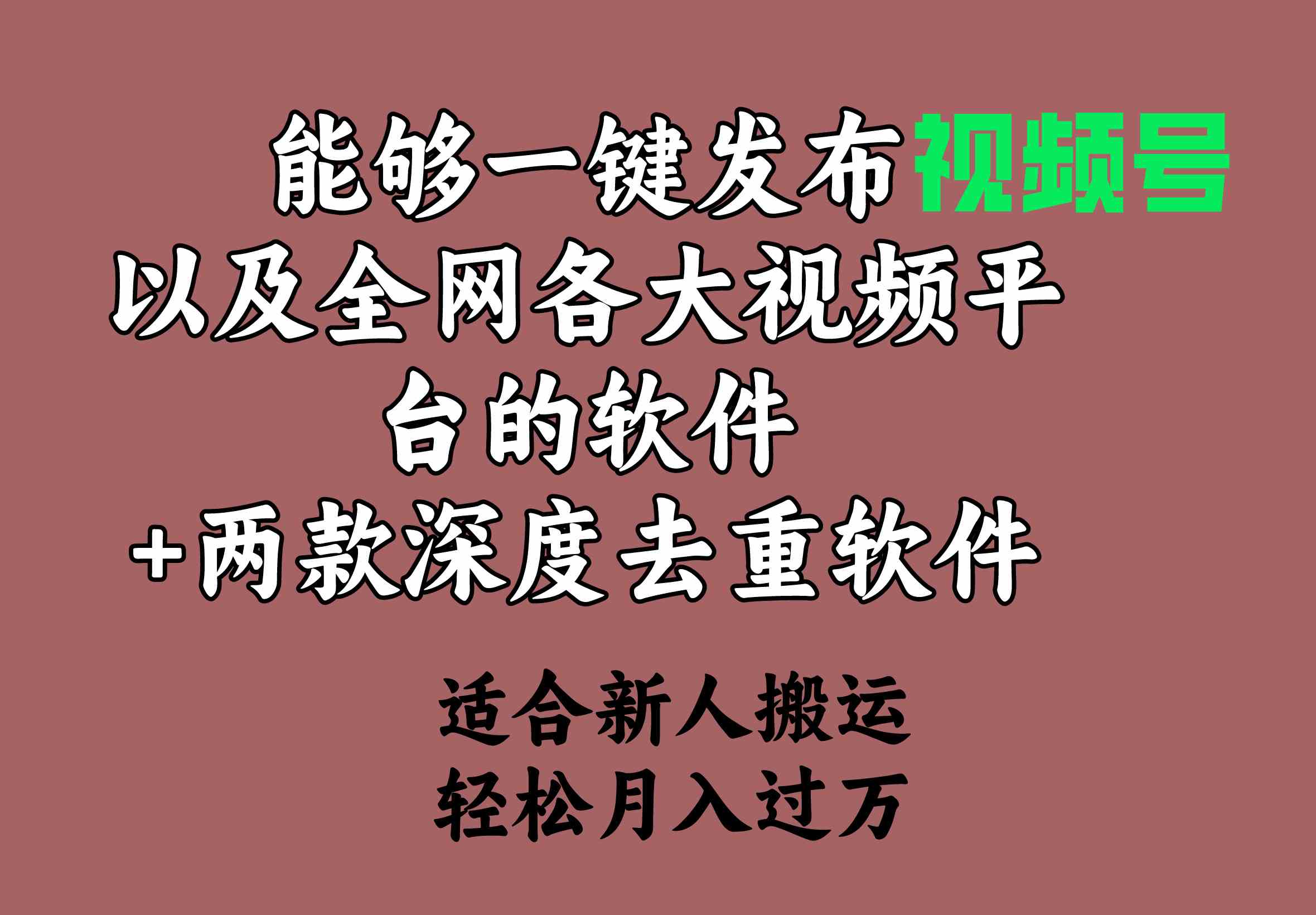 （9319期）能够一键发布视频号以及全网各大视频平台的软件+两款深度去重软件 适合…-iTZL项目网