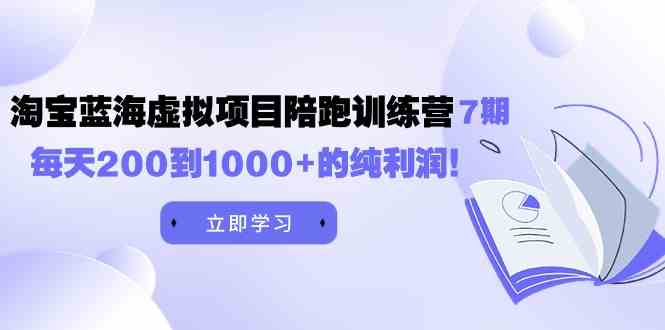 （9541期）黄岛主《淘宝蓝海虚拟项目陪跑训练营7期》每天200到1000+的纯利润-iTZL项目网