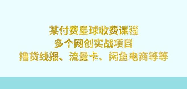 某付费星球课程：多个网创实战项目，撸货线报、流量卡、闲鱼电商等（文档非视频）-iTZL项目网