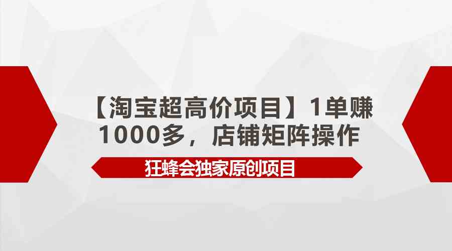 （9849期）【淘宝超高价项目】1单赚1000多，店铺矩阵操作-iTZL项目网