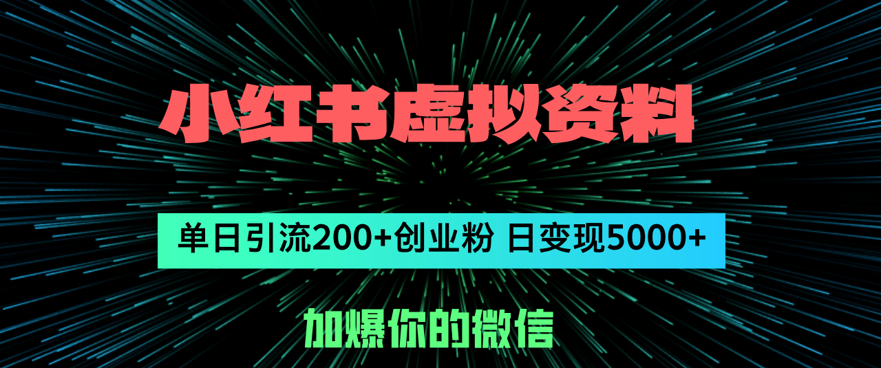 （12164期）小红书虚拟资料日引流200+创业粉，单日变现5000+-iTZL项目网