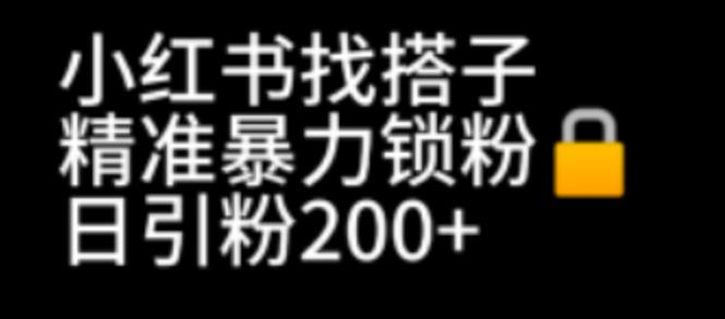 （6807期）小红书找搭子暴力精准锁粉+引流日引200+精准粉-iTZL项目网