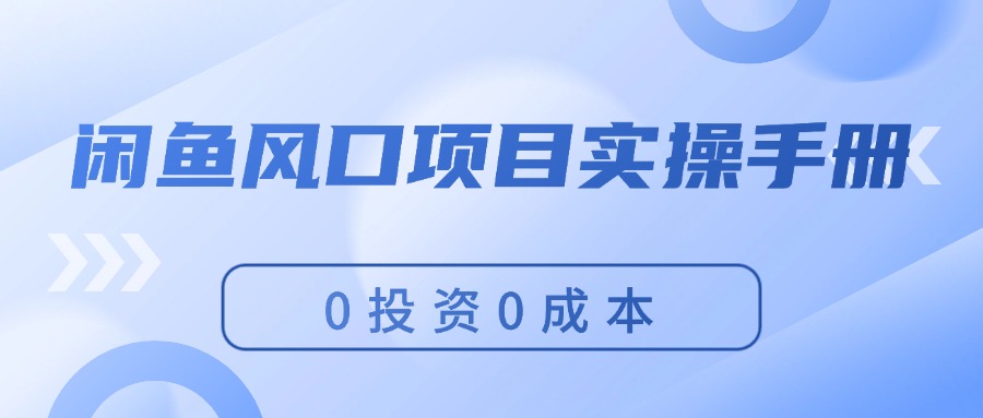 （11923期）闲鱼风口项目实操手册，0投资0成本，让你做到，月入过万，新手可做-iTZL项目网