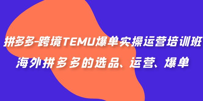 （6934期）拼多多-跨境TEMU爆单实操运营培训班，海外拼多多的选品、运营、爆单-iTZL项目网