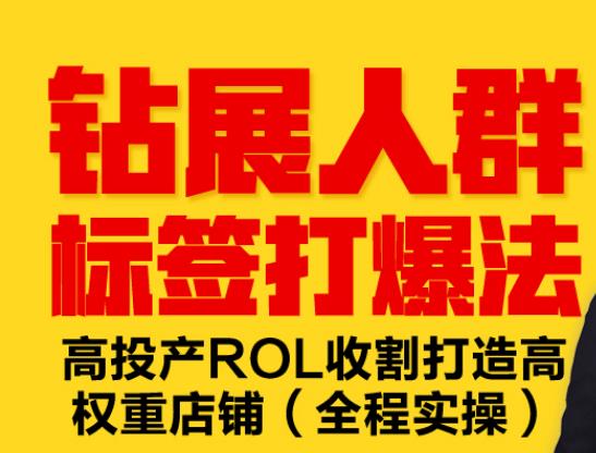 钻展人群标签打爆法，高投产ROL收割打造高权重店铺(全程实操)-iTZL项目网