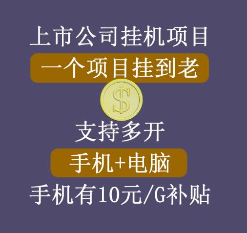 【上市公司】睿思挂机项目，一个项目挂到老，支持手机+电脑+虚拟机多开-iTZL项目网