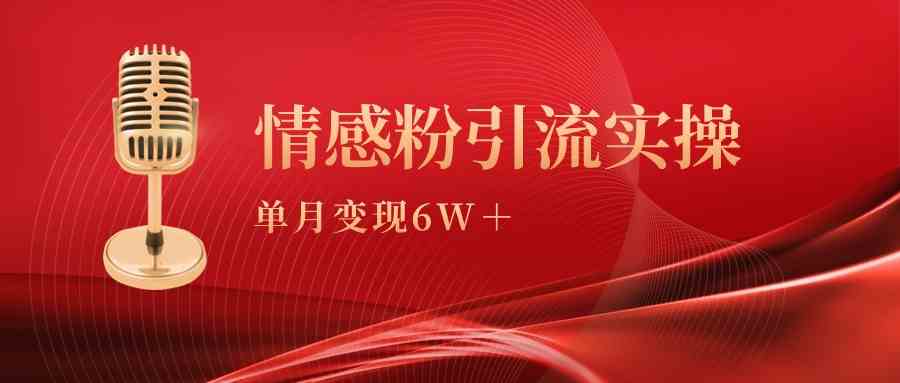 （9473期）单月变现6w+，情感粉引流变现实操课-iTZL项目网