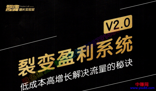 图片[1]-（955期）低成本高增长解决流量的秘诀《裂变盈利系统V2.0》视频+文档-iTZL项目网