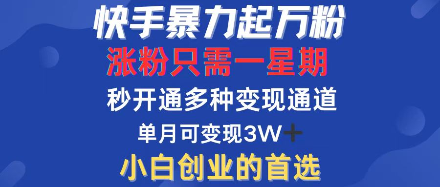 （12651期）快手暴力起万粉，涨粉只需一星期，多种变现模式，直接秒开万合，小白创…-iTZL项目网