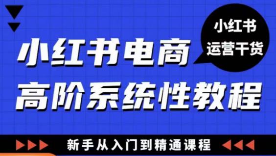 小红书电商高阶系统教程，新手从入门到精通系统课-iTZL项目网