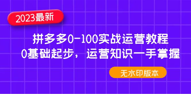 （4835期）2023拼多多0-100实战运营教程，0基础起步，运营知识一手掌握（无水印）-iTZL项目网