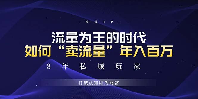 （13433期）未来如何通过“卖流量”年入百万，跨越一切周期绝对蓝海项目-iTZL项目网