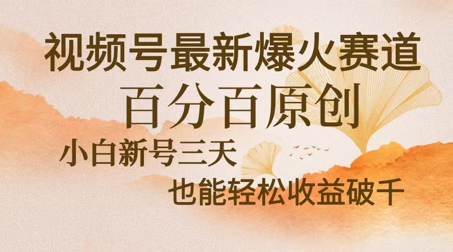 （13225期）视频号最新爆火赛道，中老年粉深信不疑，百分百原创，新号三天收益轻松…-iTZL项目网