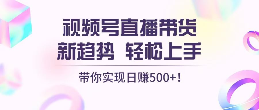 （13370期）视频号直播带货新趋势，轻松上手，带你实现日赚500+-iTZL项目网