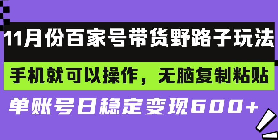 （13281期）百家号带货野路子玩法 手机就可以操作，无脑复制粘贴 单账号日稳定变现…-iTZL项目网