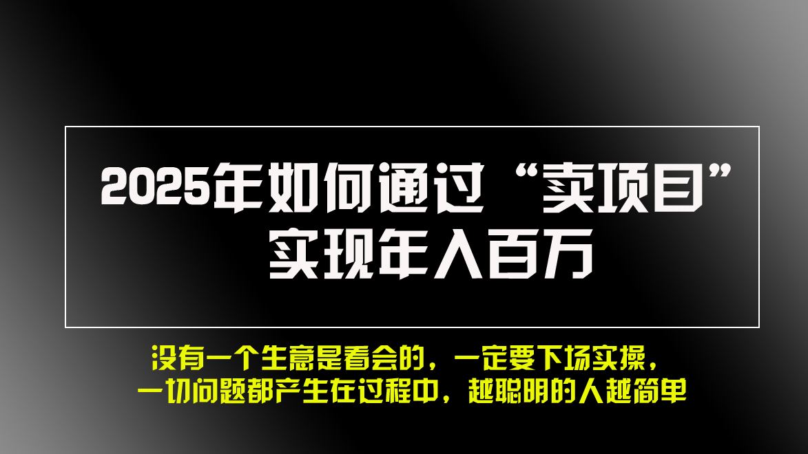 （13468期）2025年如何通过“卖项目”实现年入百万，做网赚必看！！-iTZL项目网