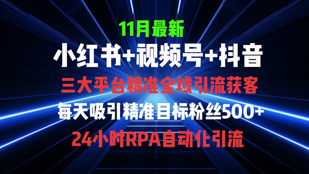 （13259期）全域多平台引流私域打法，小红书，视频号，抖音全自动获客，截流自…-iTZL项目网