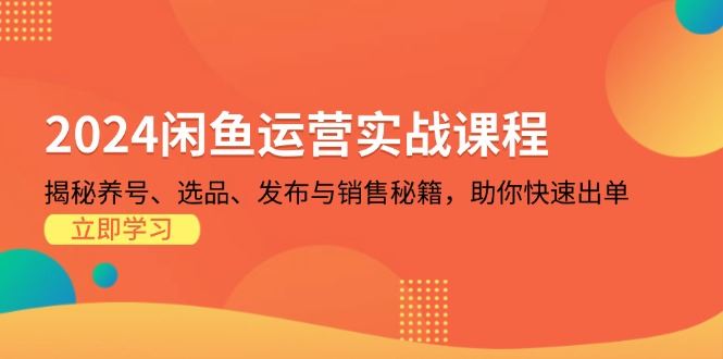 （13290期）2024闲鱼运营实战课程：揭秘养号、选品、发布与销售秘籍，助你快速出单-iTZL项目网