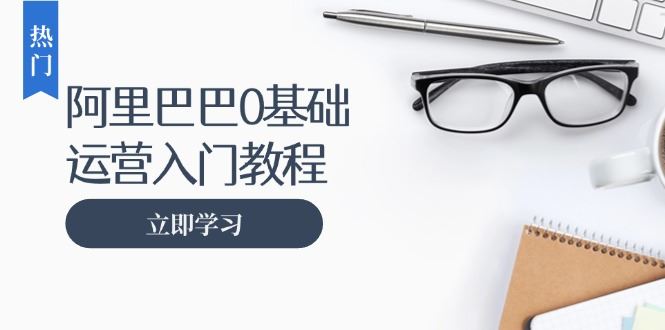 （13291期）阿里巴巴运营零基础入门教程：涵盖开店、运营、推广，快速成为电商高手-iTZL项目网