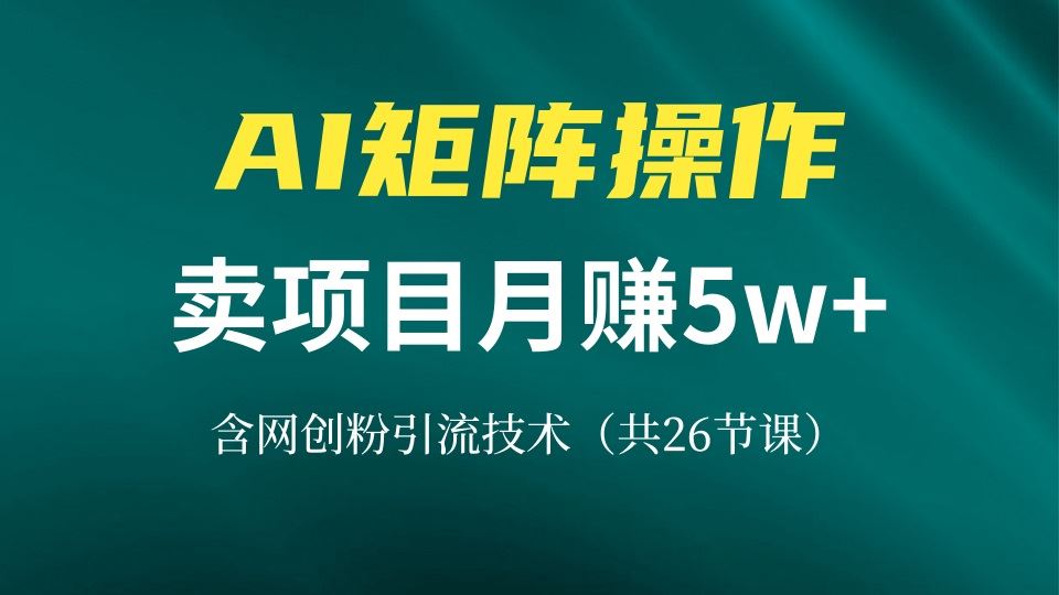 （13335期）网创IP打造课，借助AI卖项目月赚5万+，含引流技术（共26节课）-iTZL项目网