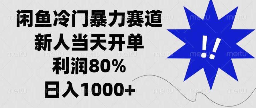 （13660期）闲鱼冷门暴力赛道，新人当天开单，利润80%，日入1000+-iTZL项目网