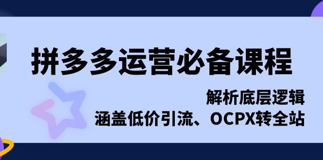 （13700期）拼多多运营必备课程，解析底层逻辑，涵盖低价引流、OCPX转全站-iTZL项目网