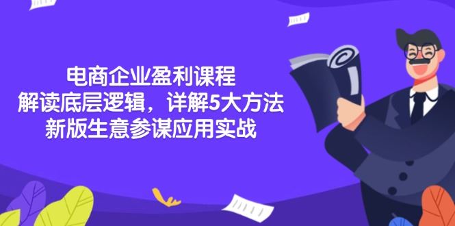 （13815期）电商企业盈利课程：解读底层逻辑，详解5大方法论，新版生意参谋应用实战-iTZL项目网