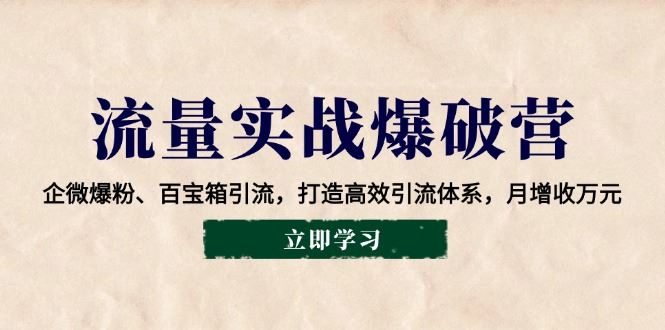 （14039期）流量实战爆破营：企微爆粉、百宝箱引流，打造高效引流体系，月增收万元-iTZL项目网