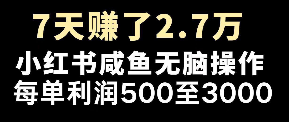 （14183期）最赚钱项目之一，2025爆火，逆风翻盘！-iTZL项目网