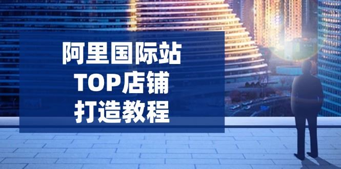 （14269期）阿里国际站TOP店铺打造教程：涵盖平台到高阶，解决运营难题，提升询盘-iTZL项目网