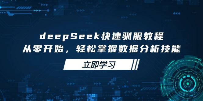 （14536期）deepSeek快速驯服教程，从零开始，轻松掌握数据分析技能-iTZL项目网