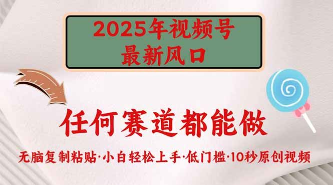 （14453期）2025年视频号新风口，低门槛只需要无脑执行-iTZL项目网